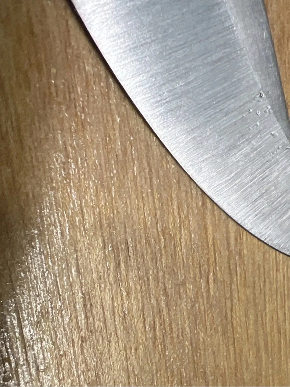Vintage 45s Chicago Cutlery Butcher Knife